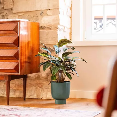 Casa Tertulias Maison d'hôtes Leiria